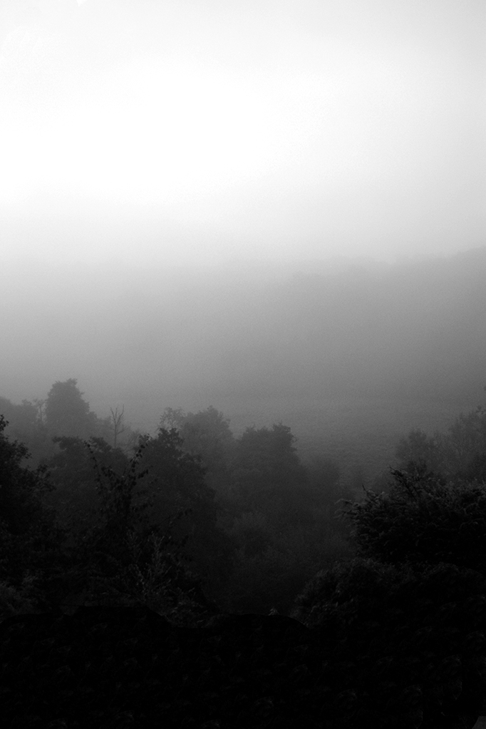 Black and white photo. In the foreground, the tops of trees pushing above thick mist, which continues into the background, obscured by a whiteout formed from the mist